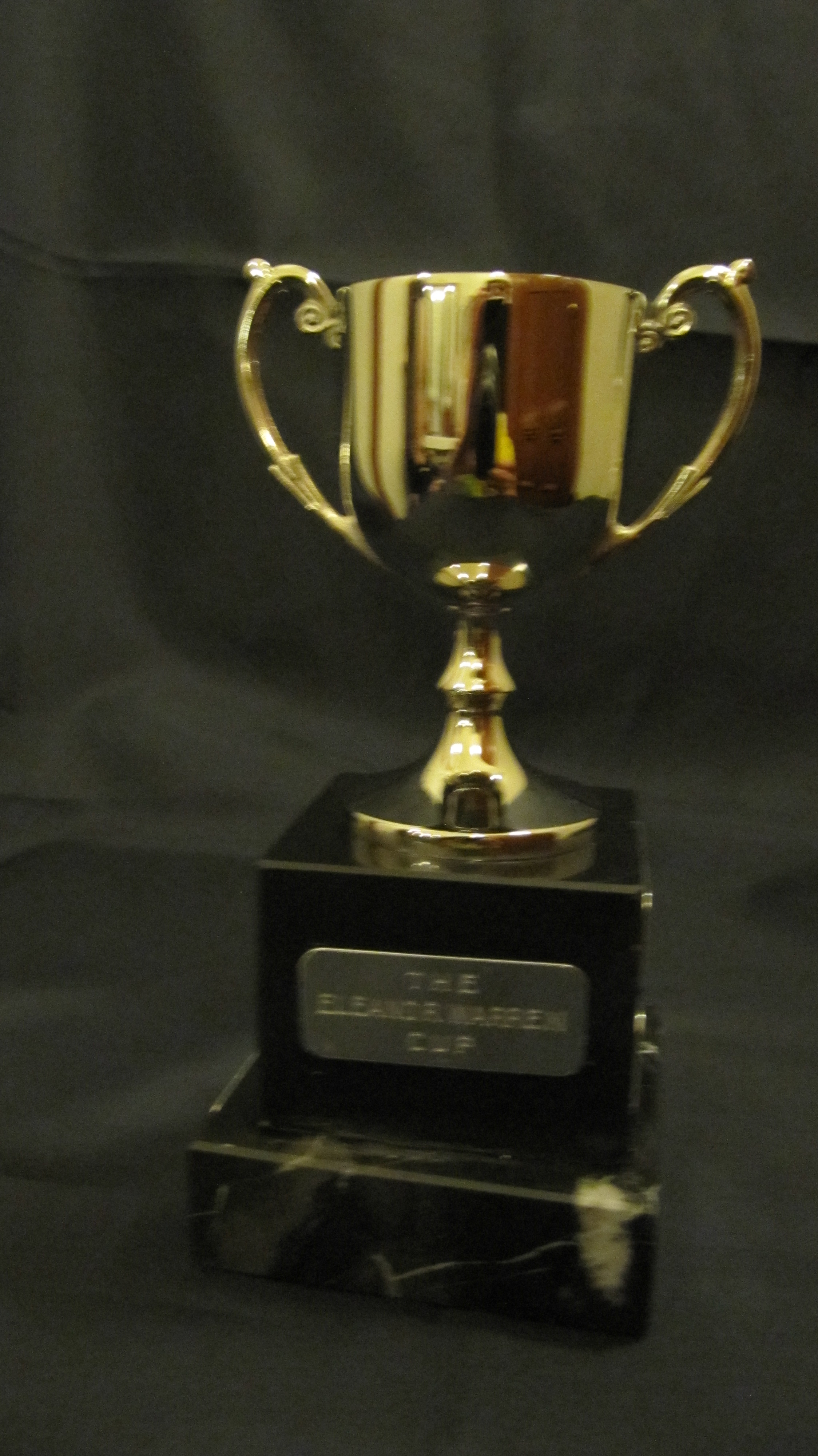 Eleanor Warren Cup