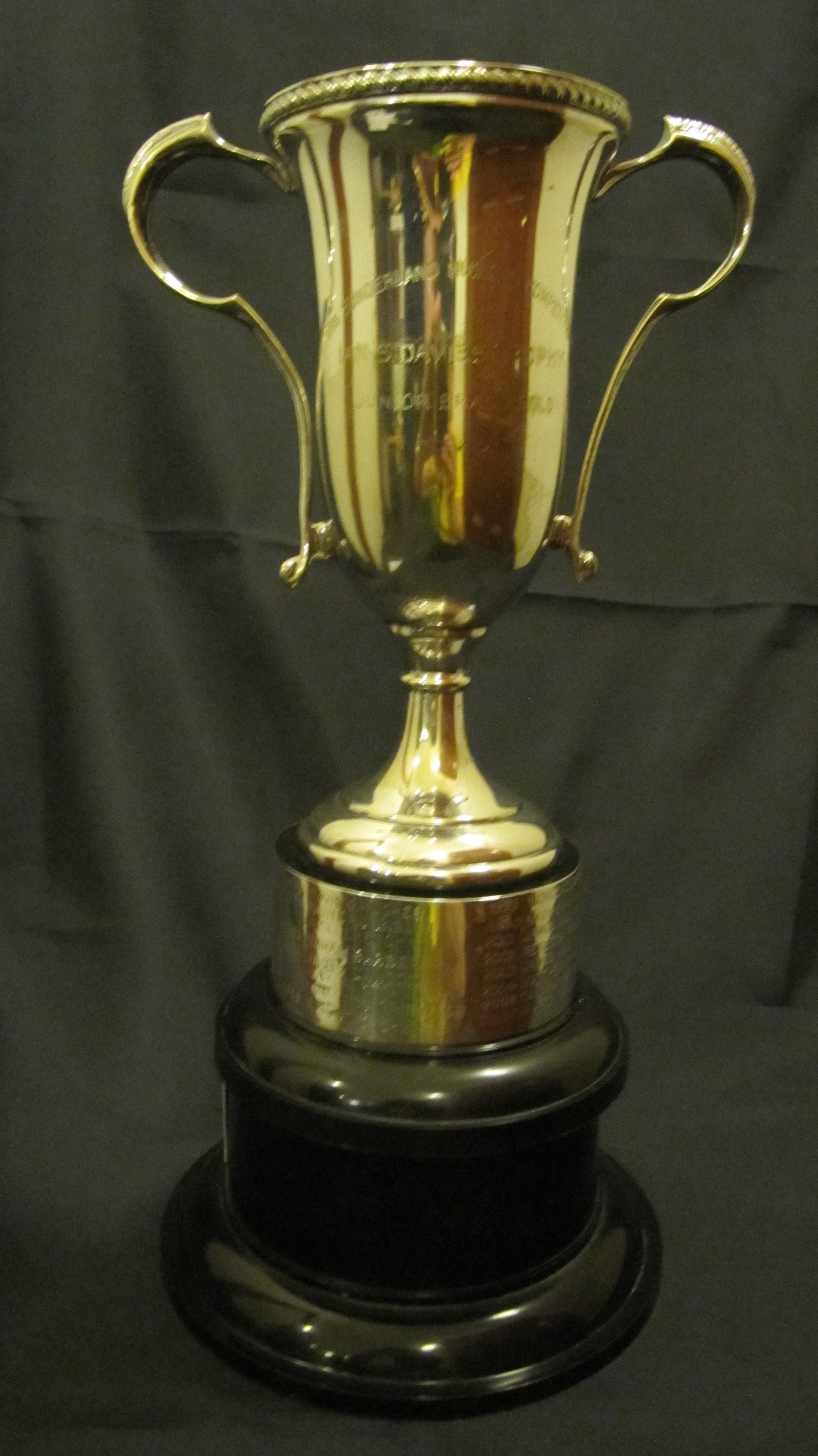 Ian S Davies Trophy